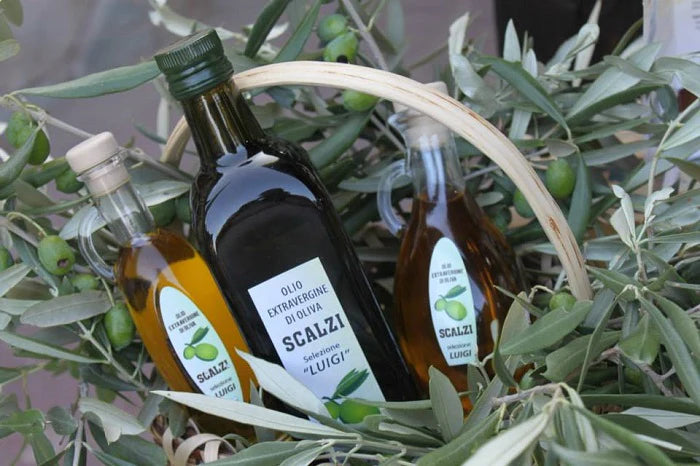 Extra Vergine Bio Kalabrien Italien