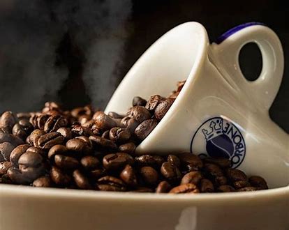 Caffè Borbone in grani qualità Rossa 500g