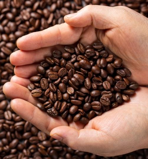 Kaffeebohnen 100% ARABICA COSTA RICA 500 g