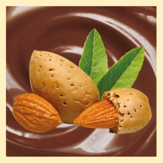 Chocolat Amande en portion individuelle de 32g